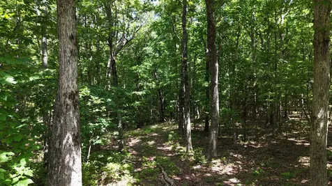 0 Brow Road Monteagle TN 37356