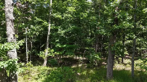 0 Brow Road Monteagle TN 37356