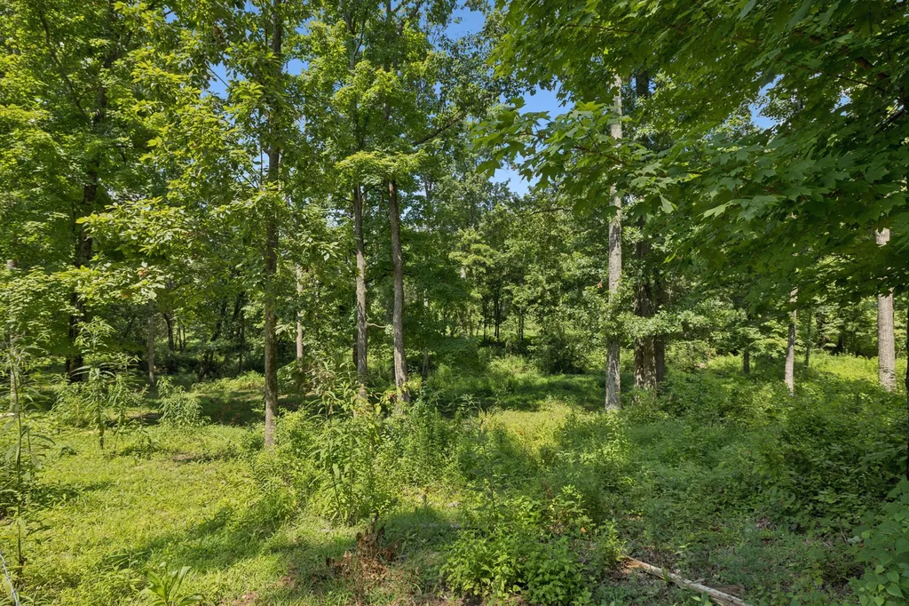 1411 Bell Meadow Court Nolensville TN 37135