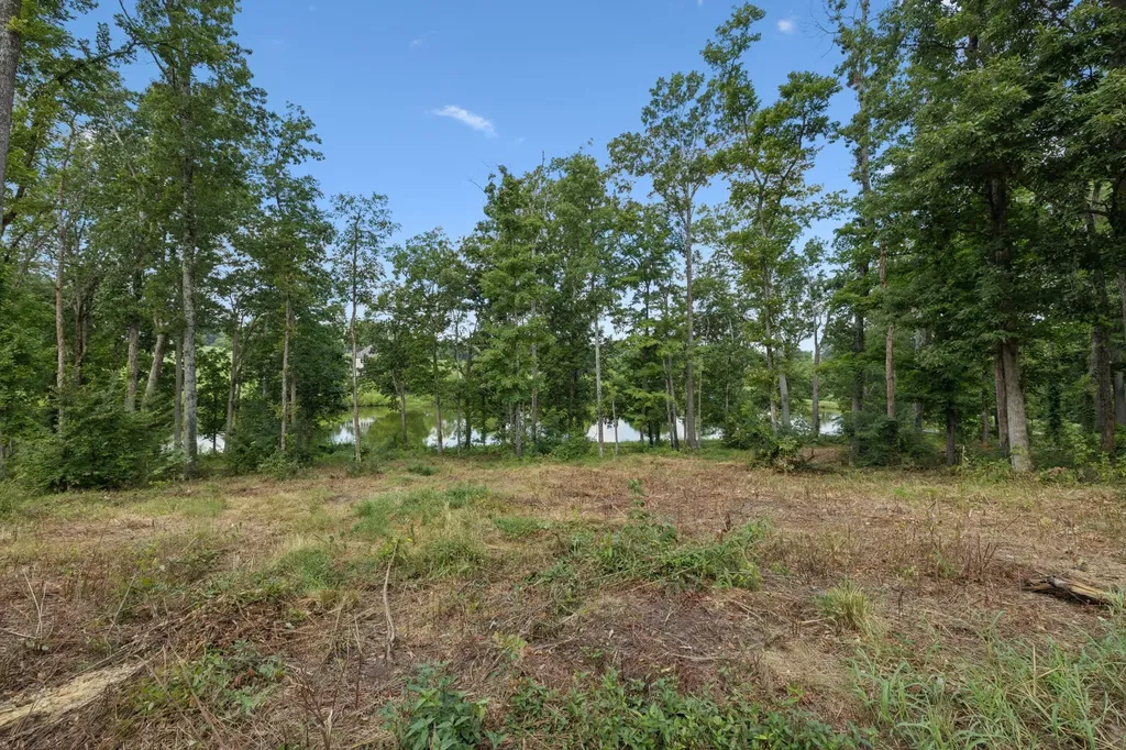1411 Bell Meadow Court Nolensville TN 37135