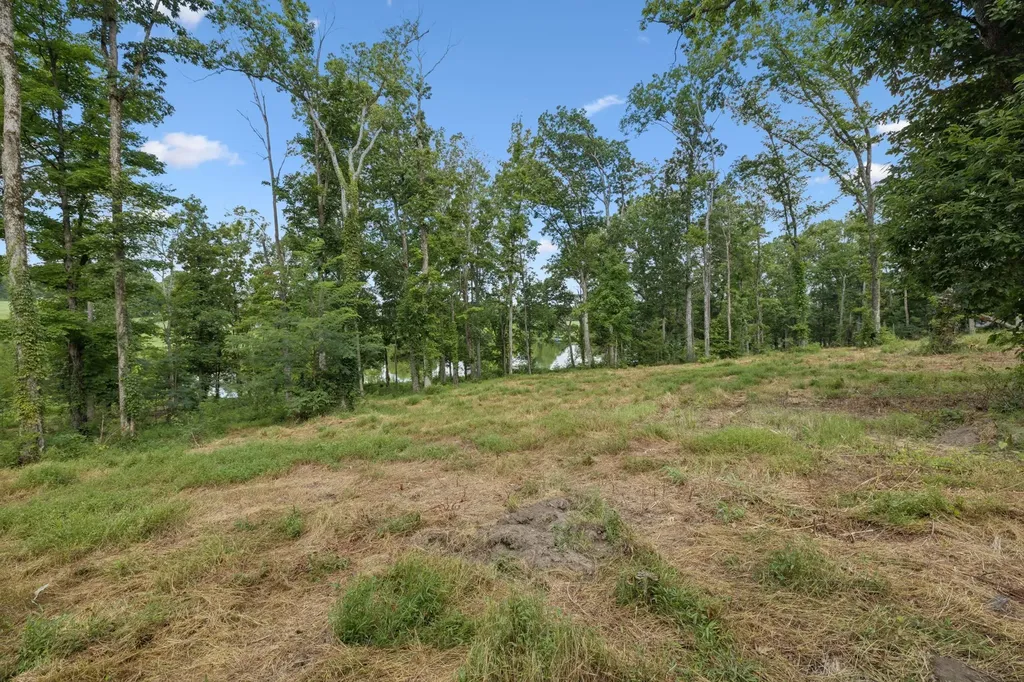 1411 Bell Meadow Court Nolensville TN 37135