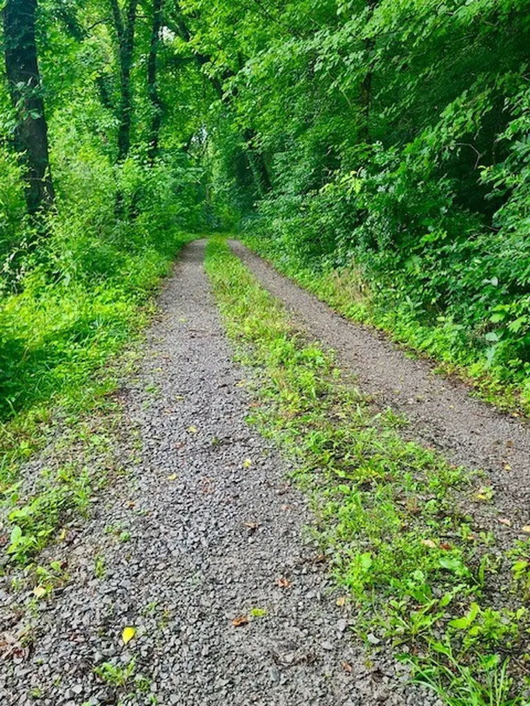 1640 Allen Brown Road Belfast TN 37019