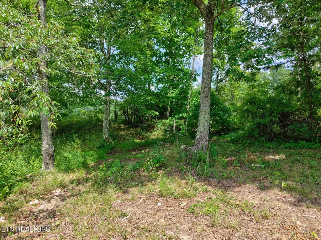 36 Kentucky Drive Crossville TN 38572