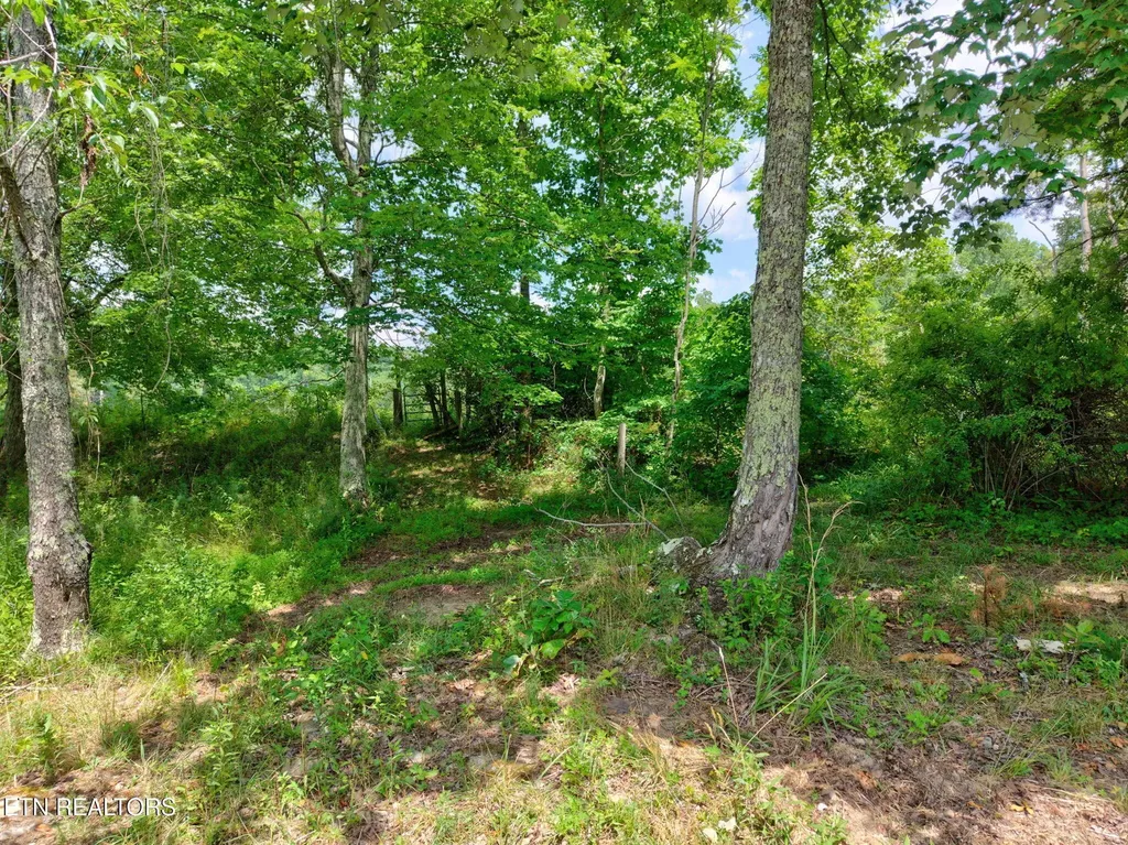 36 Kentucky Drive Crossville TN 38572