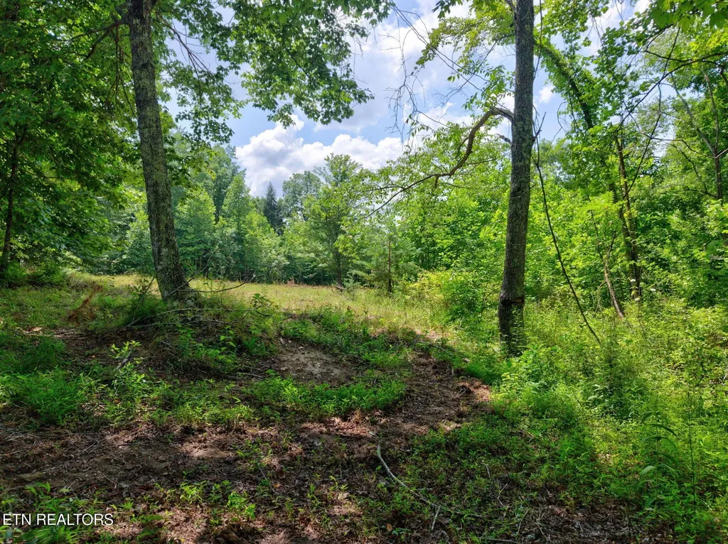 36 Kentucky Drive Crossville TN 38572