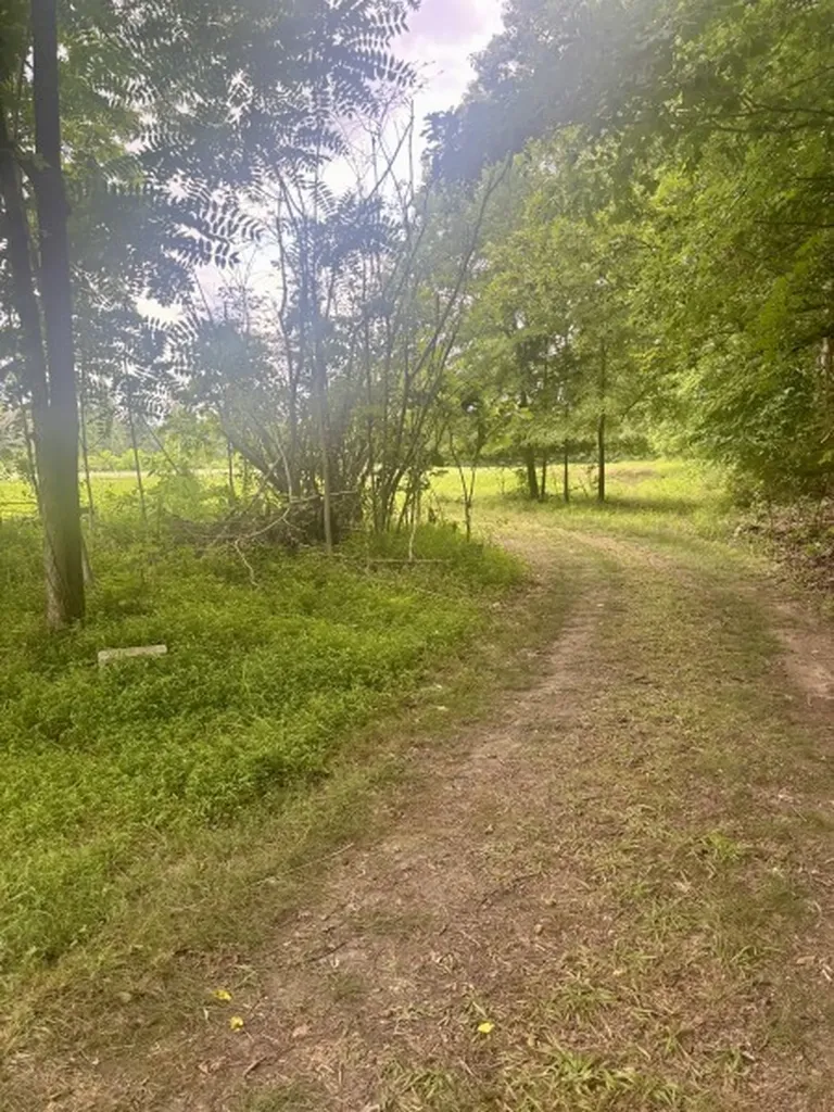 294 Haskell Winton Road Manchester TN 37355