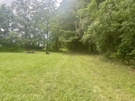 294 Haskell Winton Road Manchester TN 37355