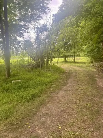 294 Haskell Winton Road Manchester TN 37355