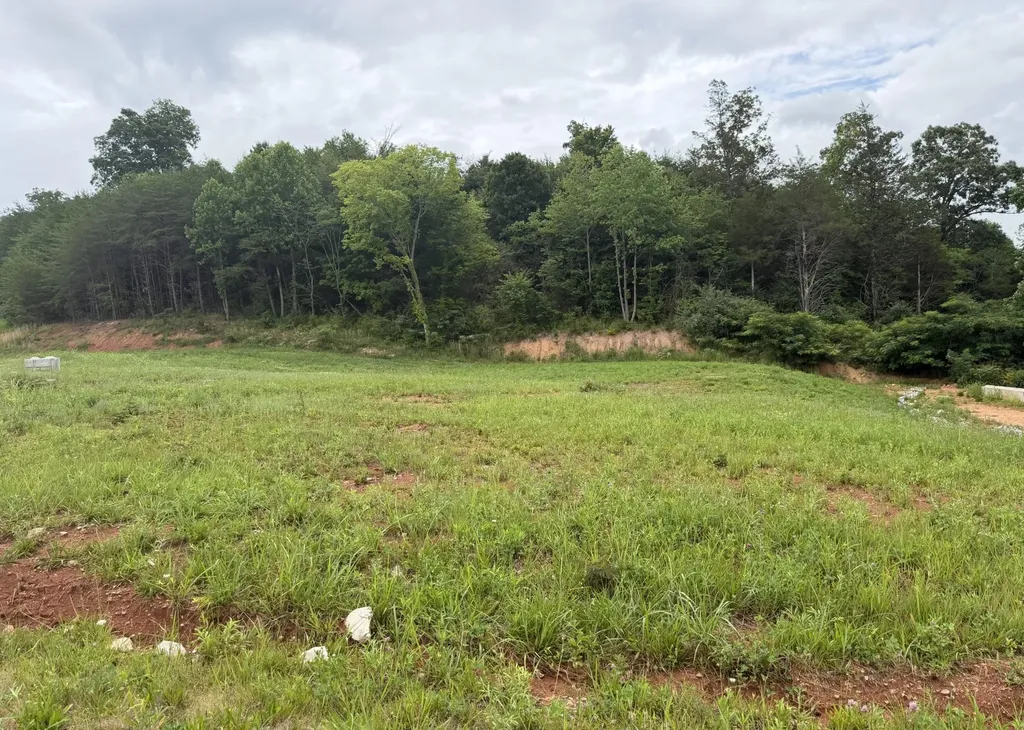 0 Bear Lane Tellico Plains TN 37385