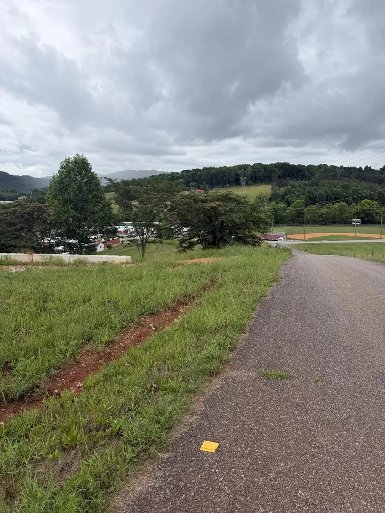 0 Bear Lane Tellico Plains TN 37385