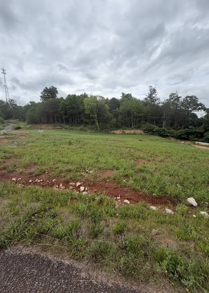 0 Bear Lane Tellico Plains TN 37385