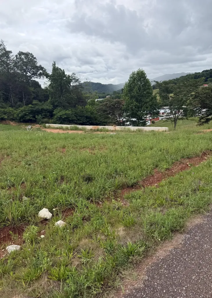 0 Bear Lane Tellico Plains TN 37385
