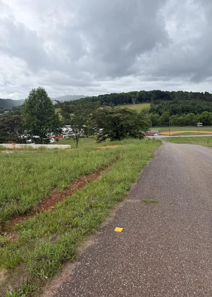0 Bear Lane Tellico Plains TN 37385