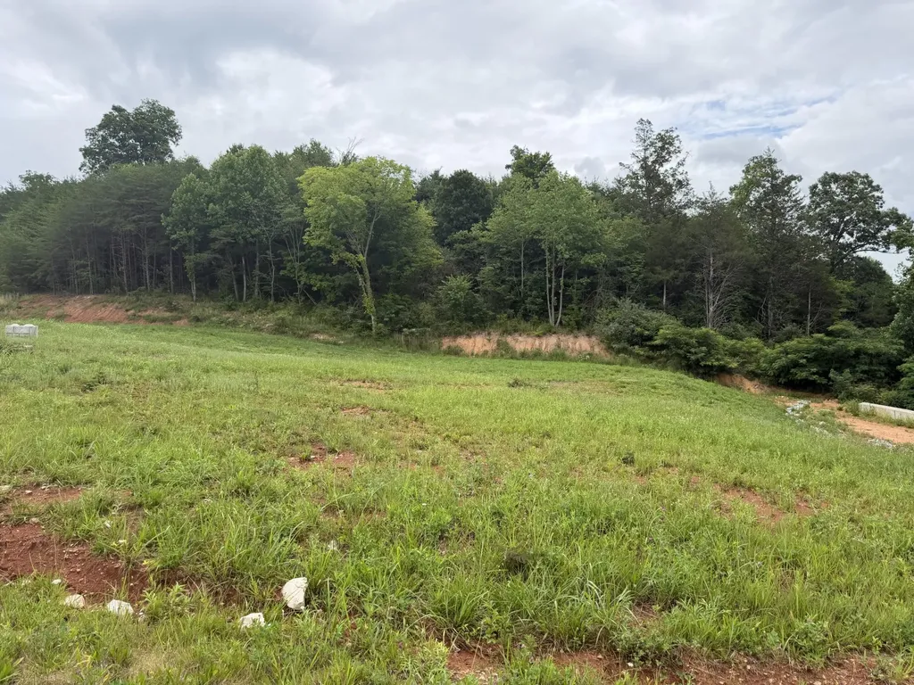 0 Bear Lane Tellico Plains TN 37385