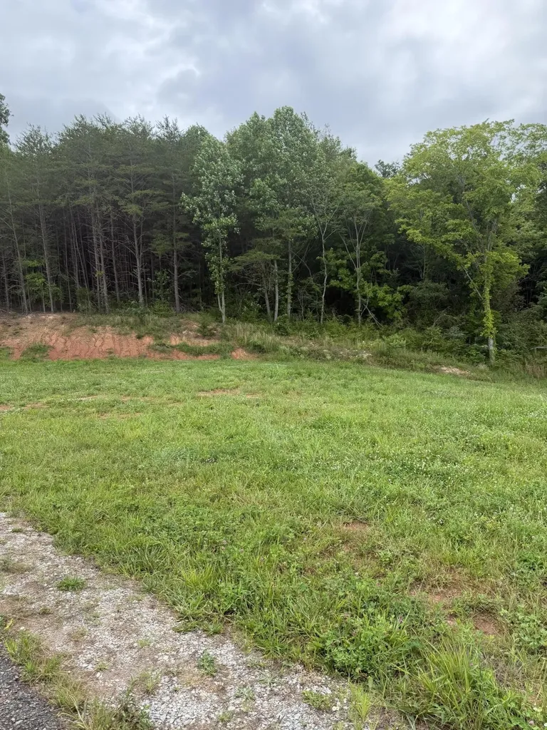 0 Bear Lane Tellico Plains TN 37385