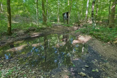 4574 Hampshire Pike Hampshire TN 38461