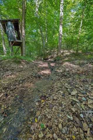 4574 Hampshire Pike Hampshire TN 38461