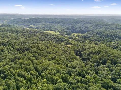 4574 Hampshire Pike Hampshire TN 38461