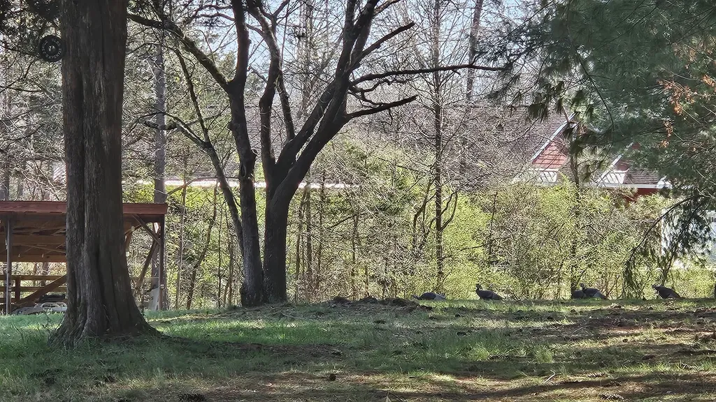 2769 New Hall Road Greenbrier TN 37073