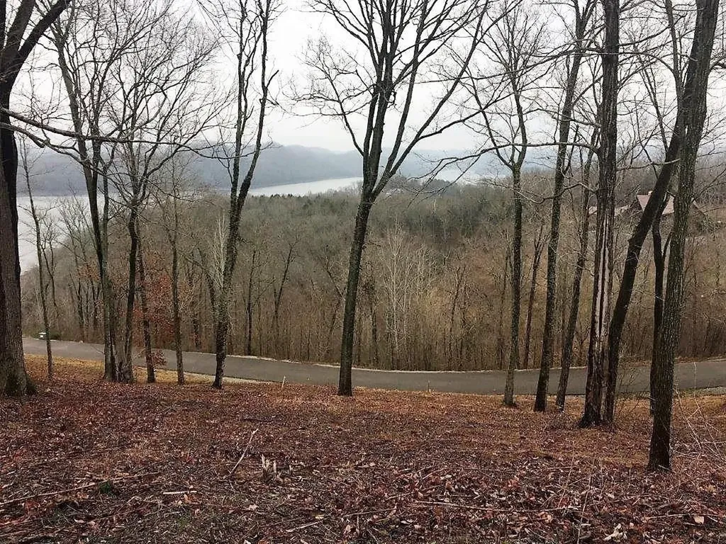 413 Maury Lane Smithville TN 37166