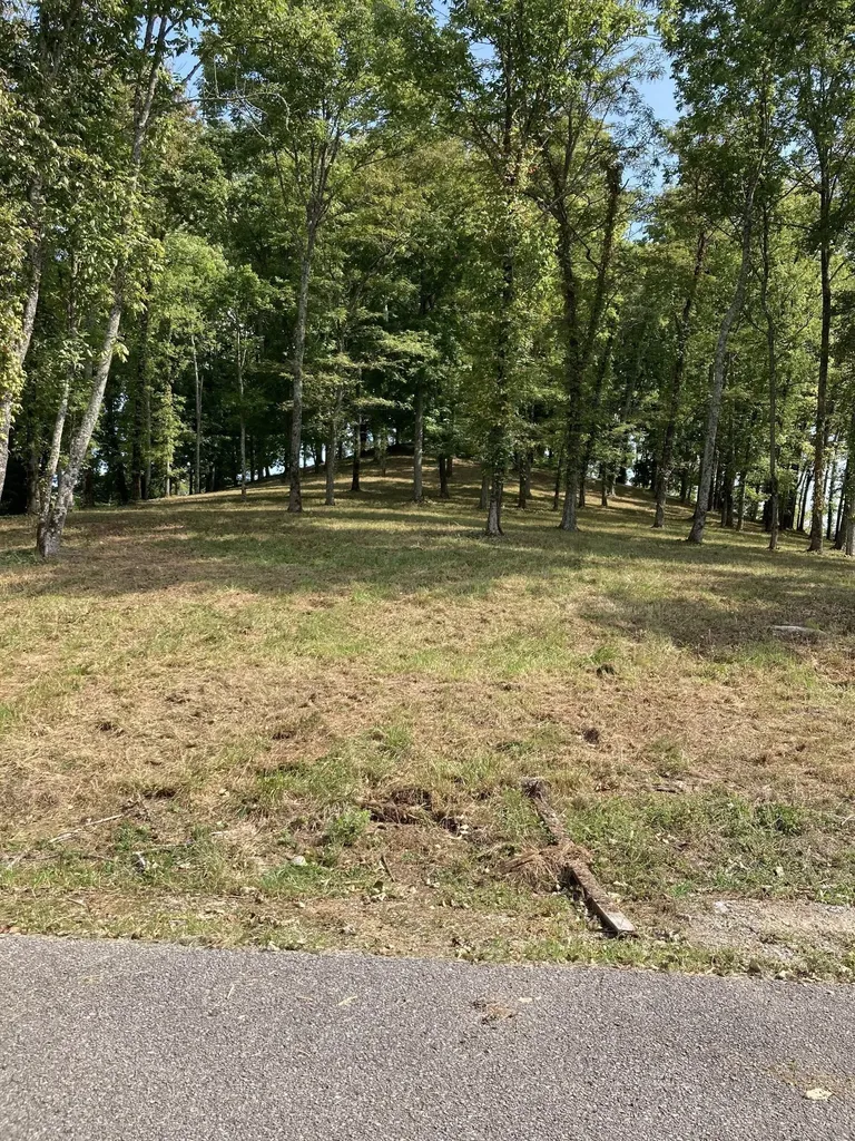 220 Wilson Circle Smithville TN 37166