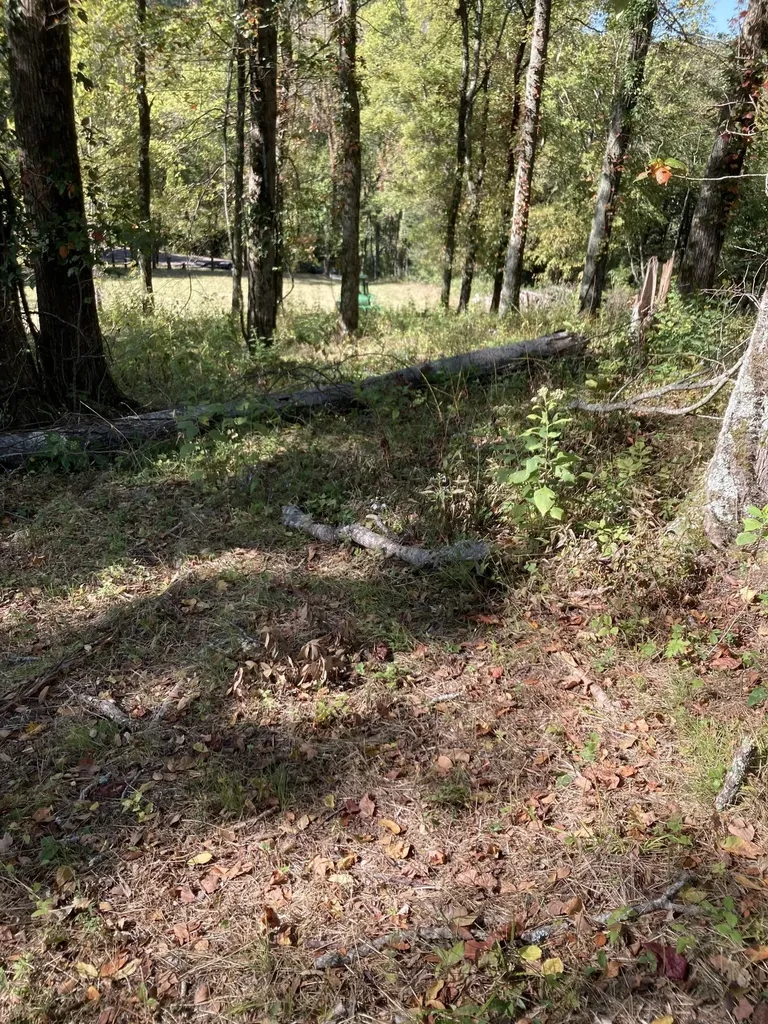 220 Wilson Circle Smithville TN 37166