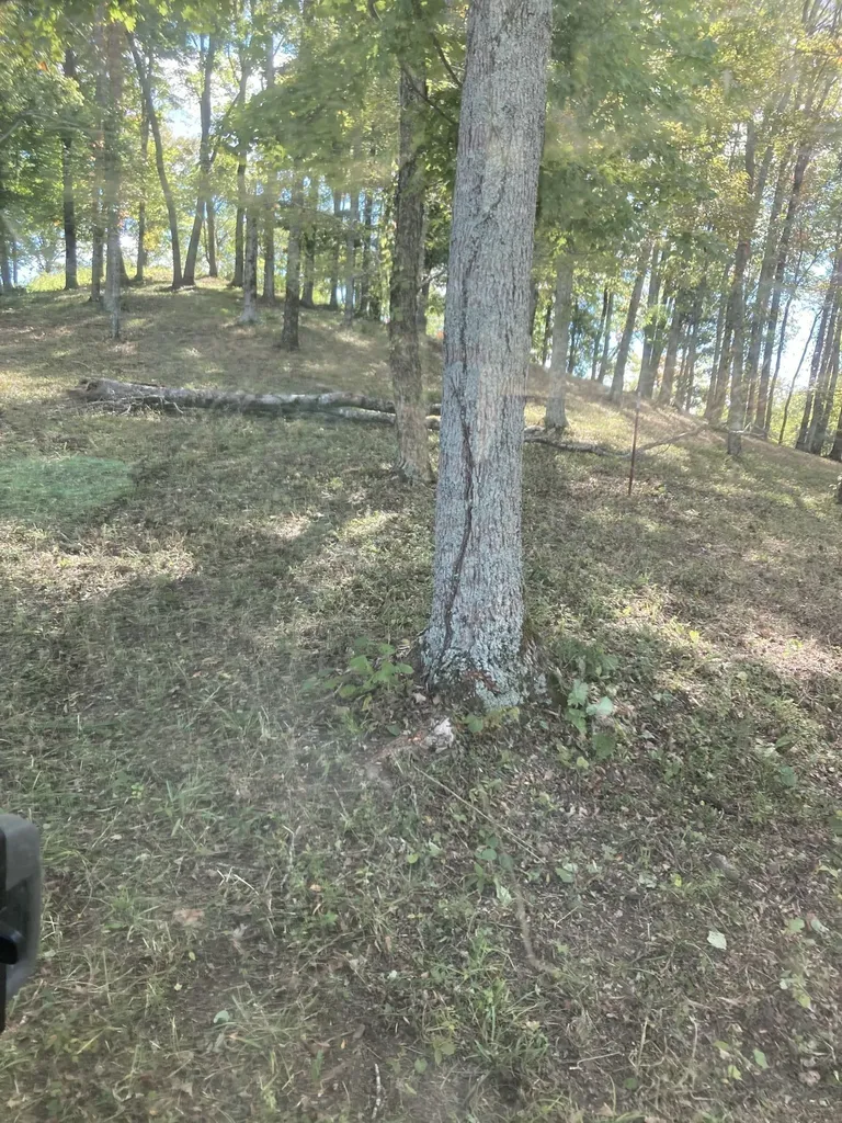 220 Wilson Circle Smithville TN 37166