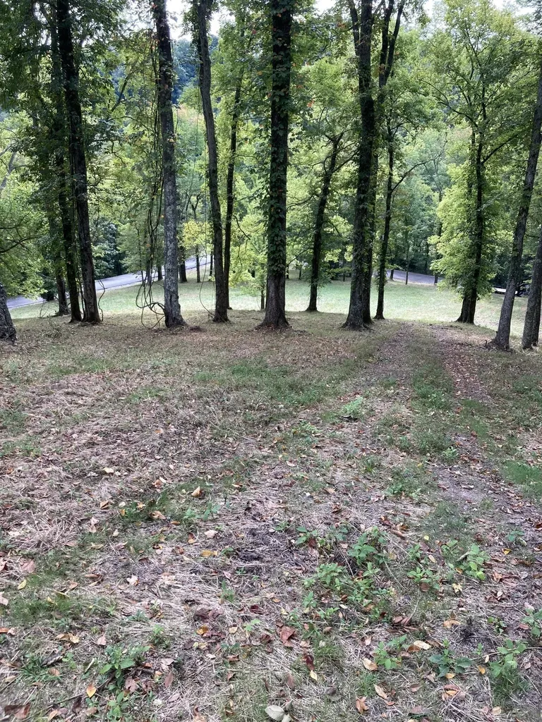 240 Wilson Circle Smithville TN 37166