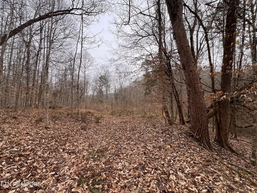 119 Laurel Wood Road Tazewell TN 37879