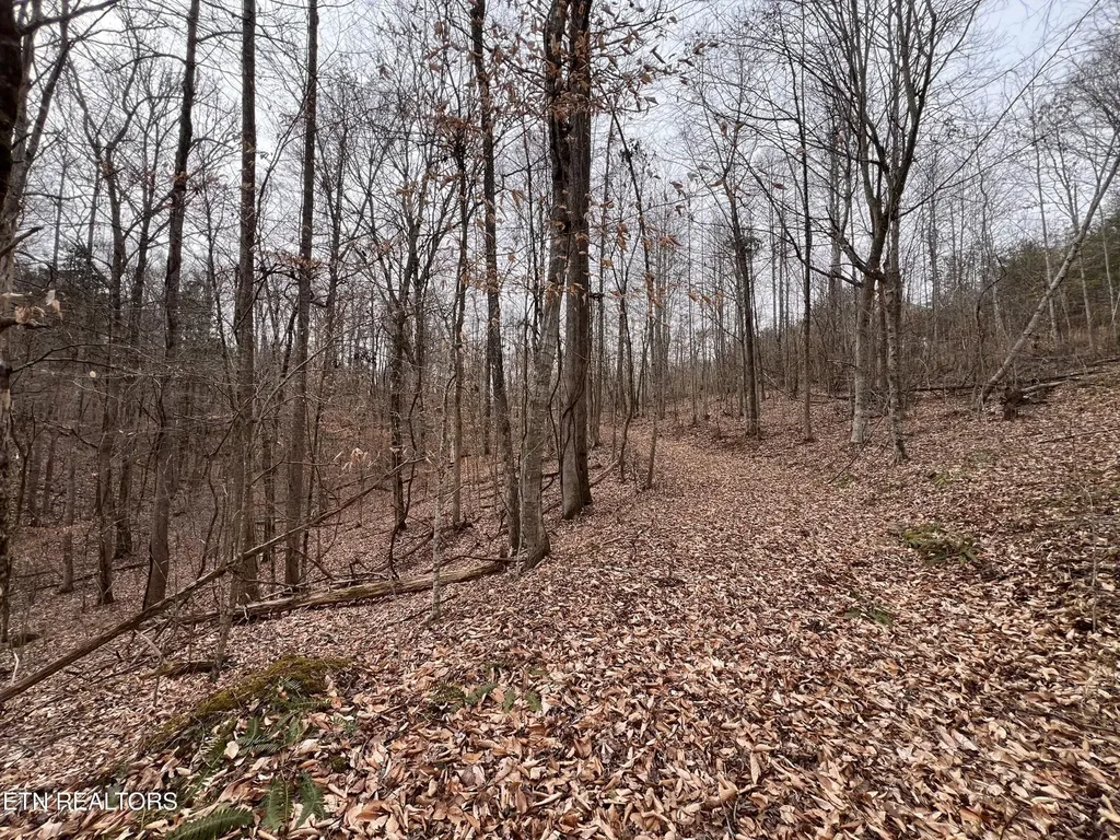 119 Laurel Wood Road Tazewell TN 37879