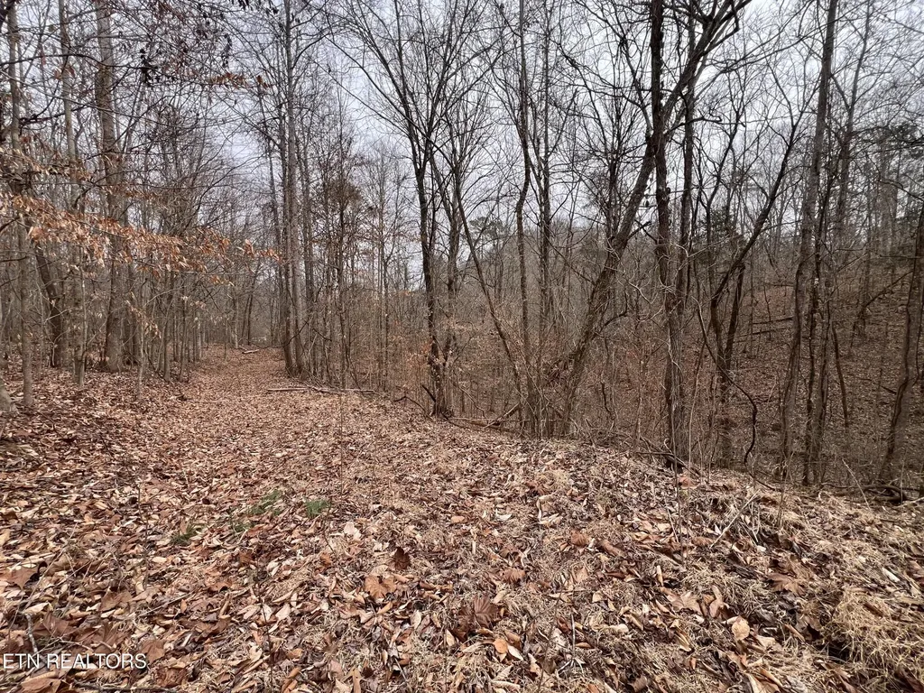 119 Laurel Wood Road Tazewell TN 37879