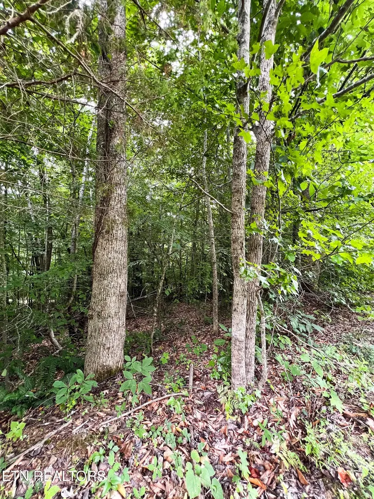 119 Laurel Wood Road Tazewell TN 37879