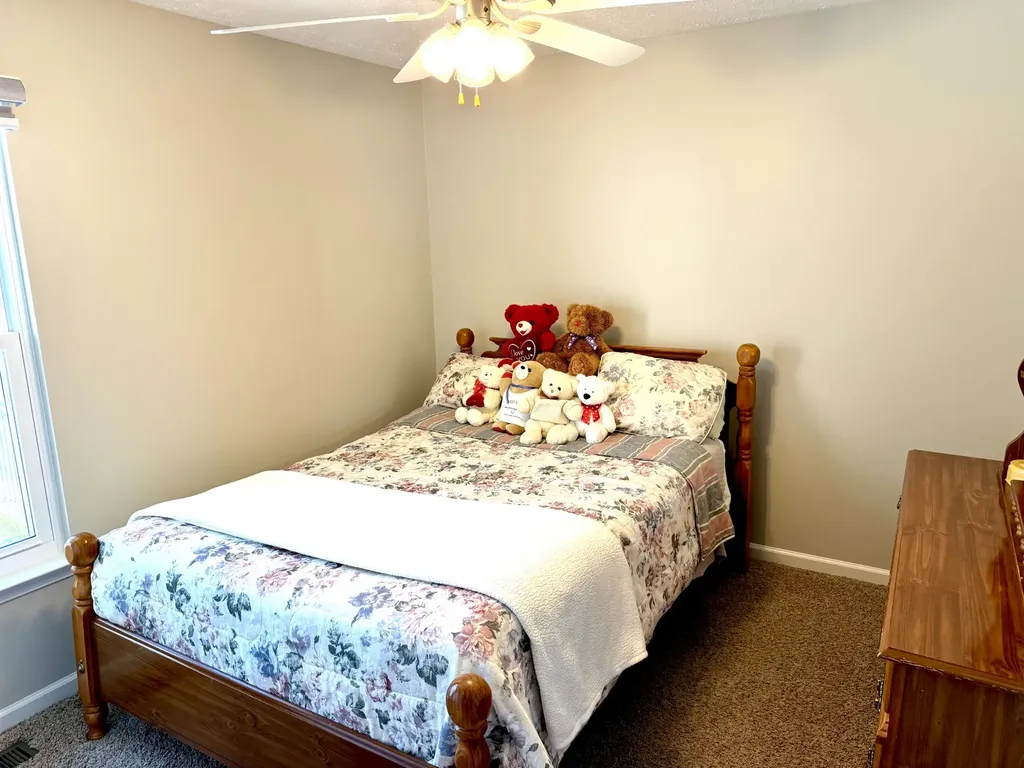 419 W Hester Road Cottontown TN 37048