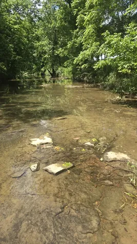 34 Short Road Petersburg TN 37144