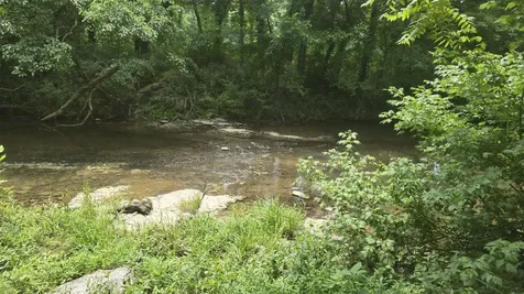 34 Short Road Petersburg TN 37144