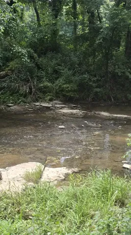 34 Short Road Petersburg TN 37144