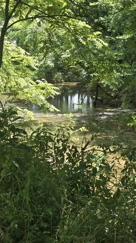 34 Short Road Petersburg TN 37144
