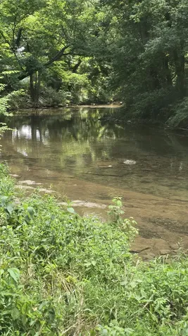 34 Short Road Petersburg TN 37144