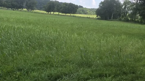 34 Short Road Petersburg TN 37144