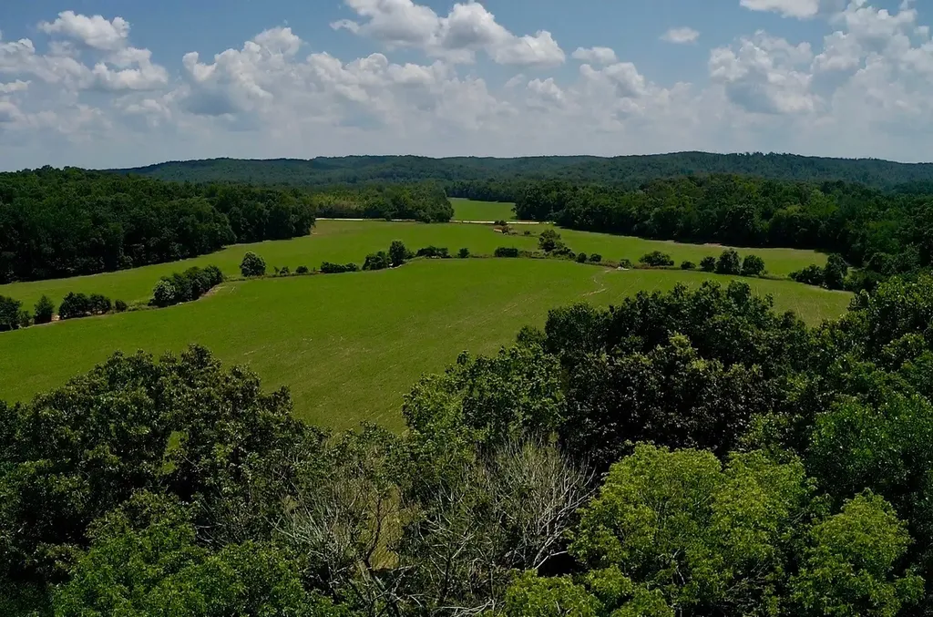 0 Old Furnace Road Decaturville TN 38329