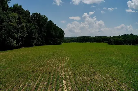 0 Old Furnace Road Decaturville TN 38329