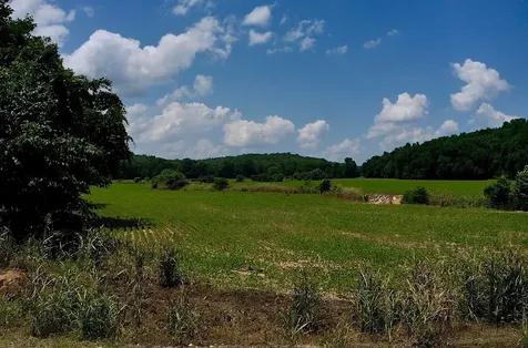 0 Old Furnace Road Decaturville TN 38329