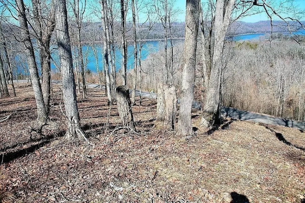 411 Maury Lane Smithville TN 37166