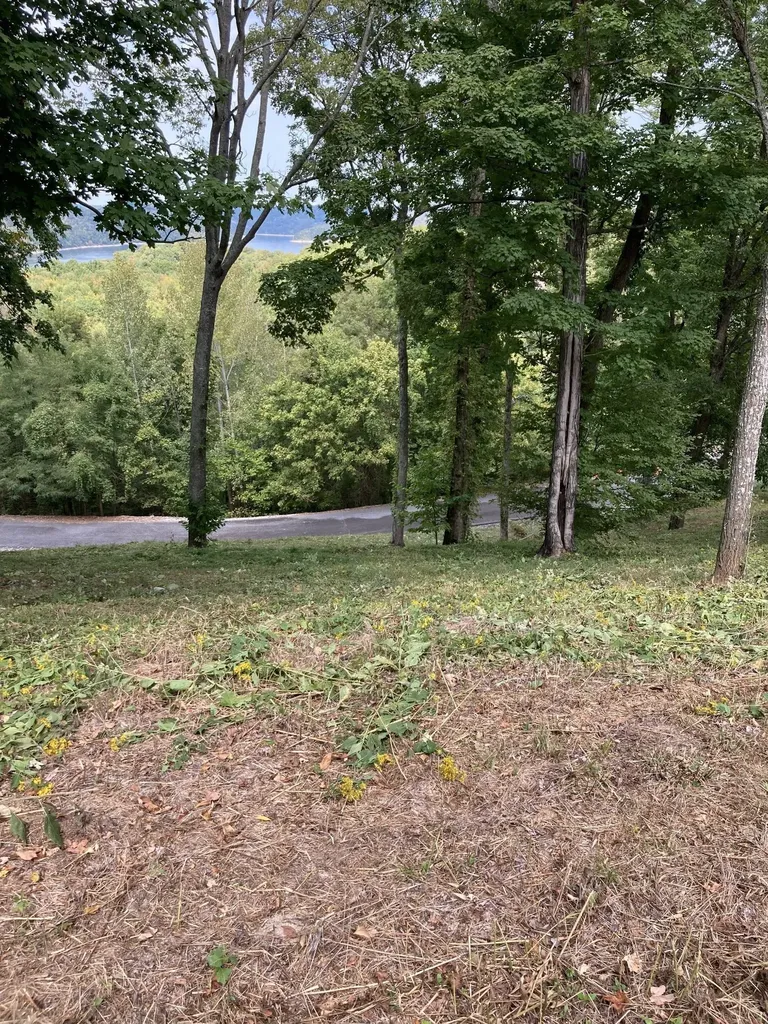 411 Maury Lane Smithville TN 37166