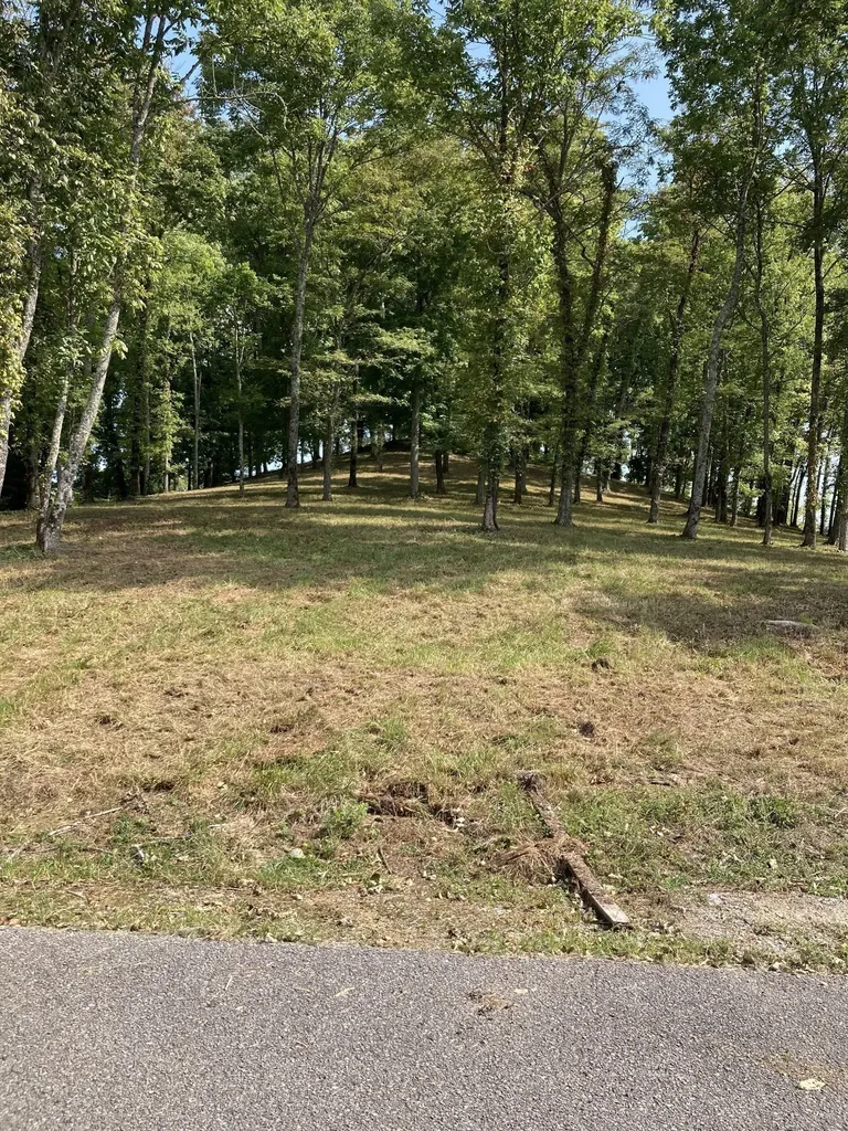 411 Maury Lane Smithville TN 37166