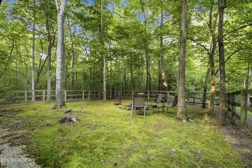 784 Wilderness Trail Oneida TN 37841