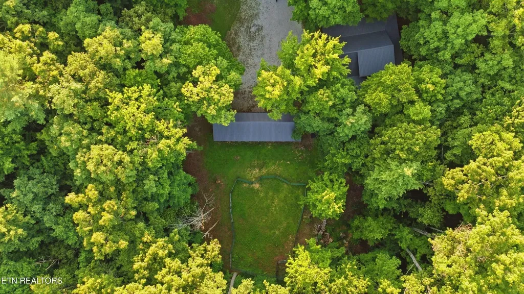 784 Wilderness Trail Oneida TN 37841