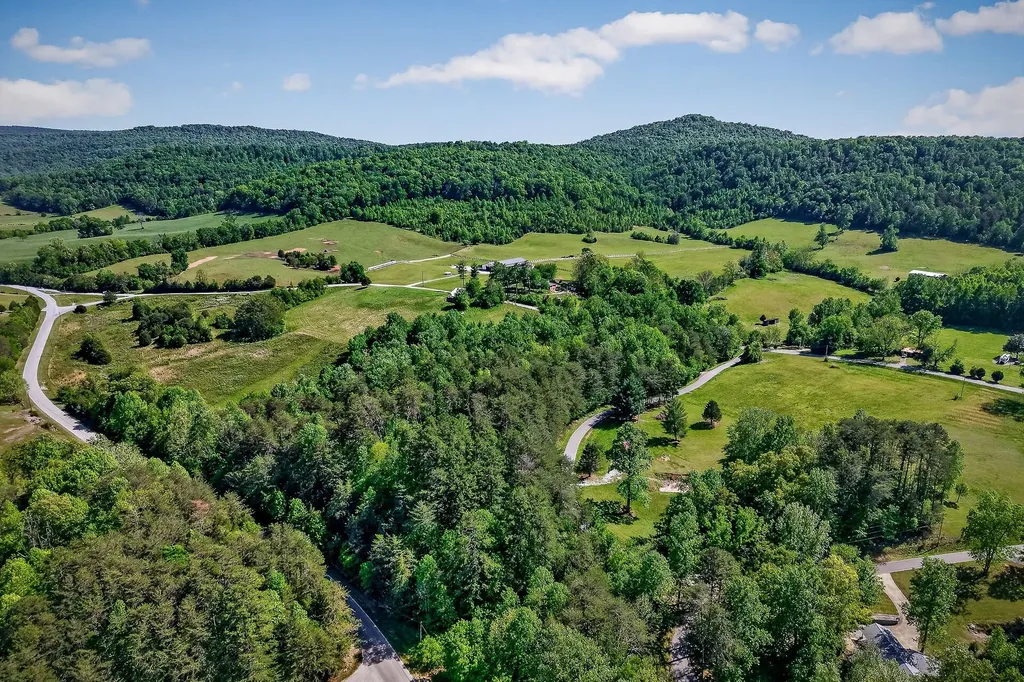 305 Caney Bend Road Doyle TN 38559