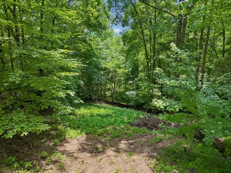 1682 Ridgeview Run Lynchburg TN 37352