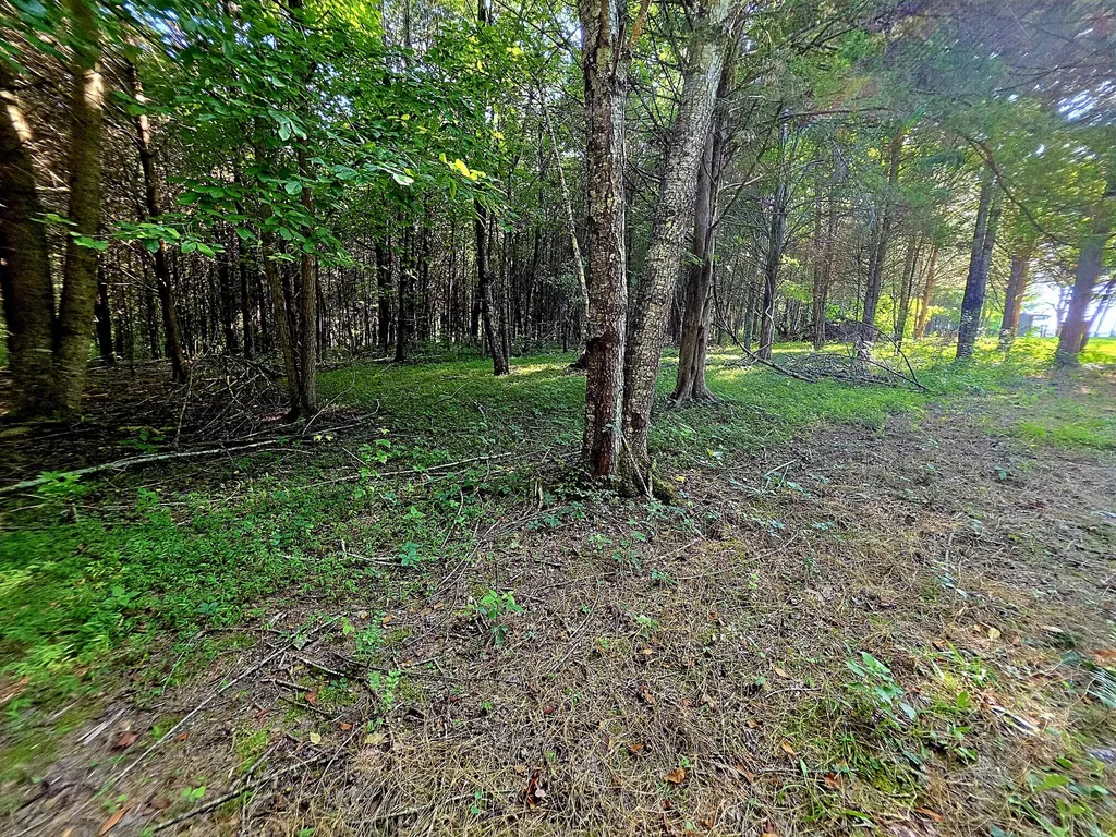 0 Tulip Lane Cookeville TN 38501